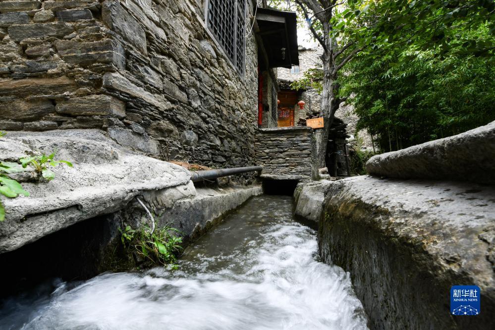棋牌送金币18